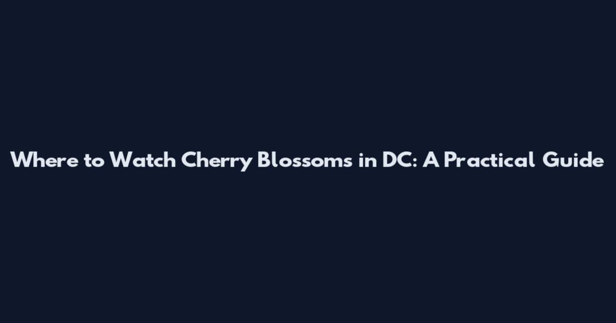 Where to Watch Cherry Blossoms in DC: A Practical Guide