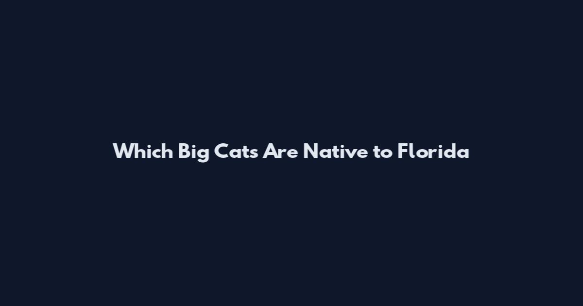 Which Big Cats Are Native to Florida