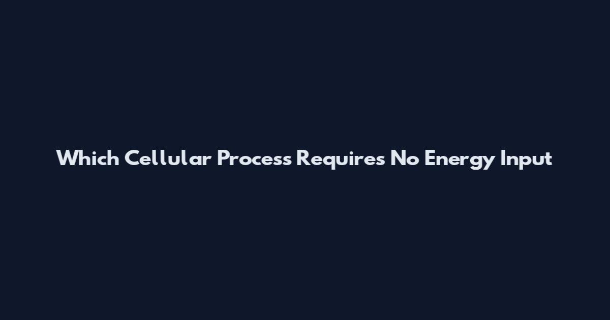 Which Cellular Process Requires No Energy Input