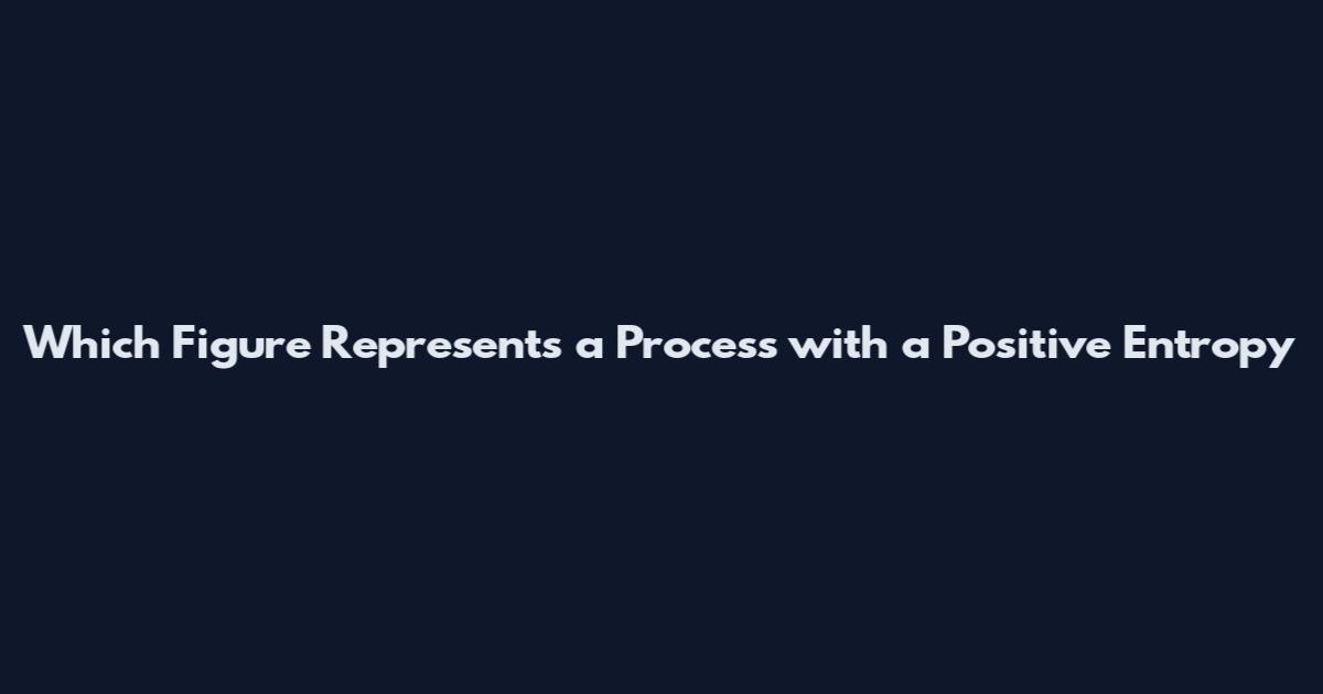Which Figure Represents a Process with a Positive Entropy