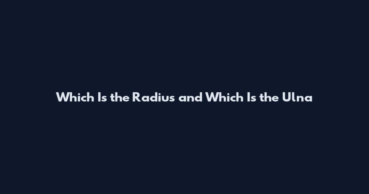 Which Is the Radius and Which Is the Ulna