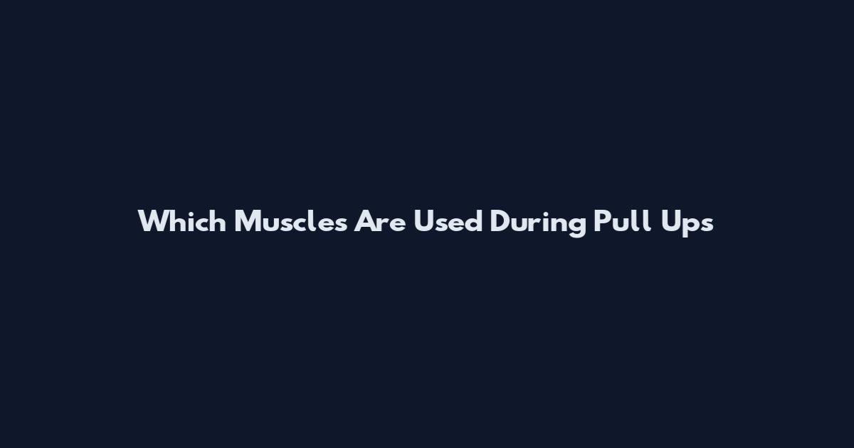 Which Muscles Are Used During Pull Ups