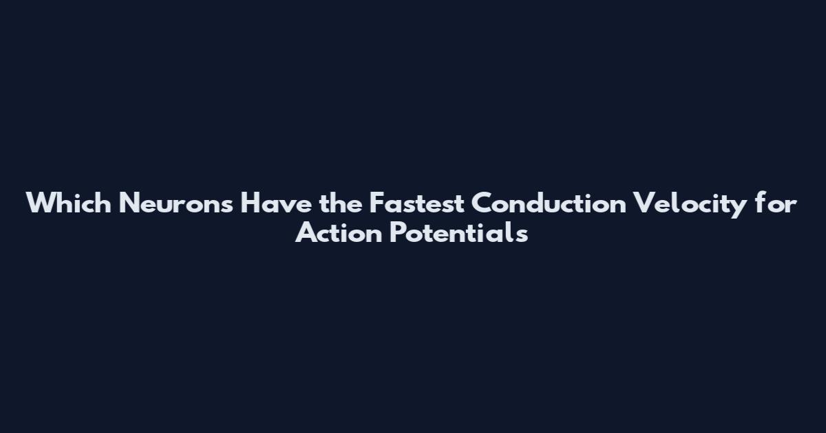 Which Neurons Have the Fastest Conduction Velocity for Action Potentials