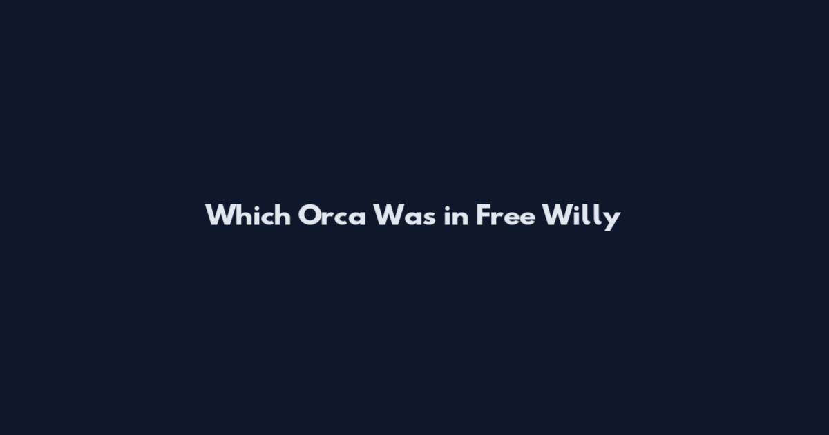 Which Orca Was in Free Willy