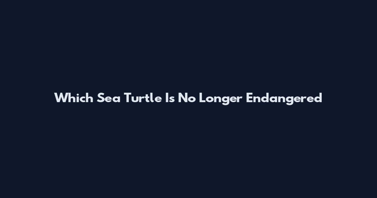 Which Sea Turtle Is No Longer Endangered
