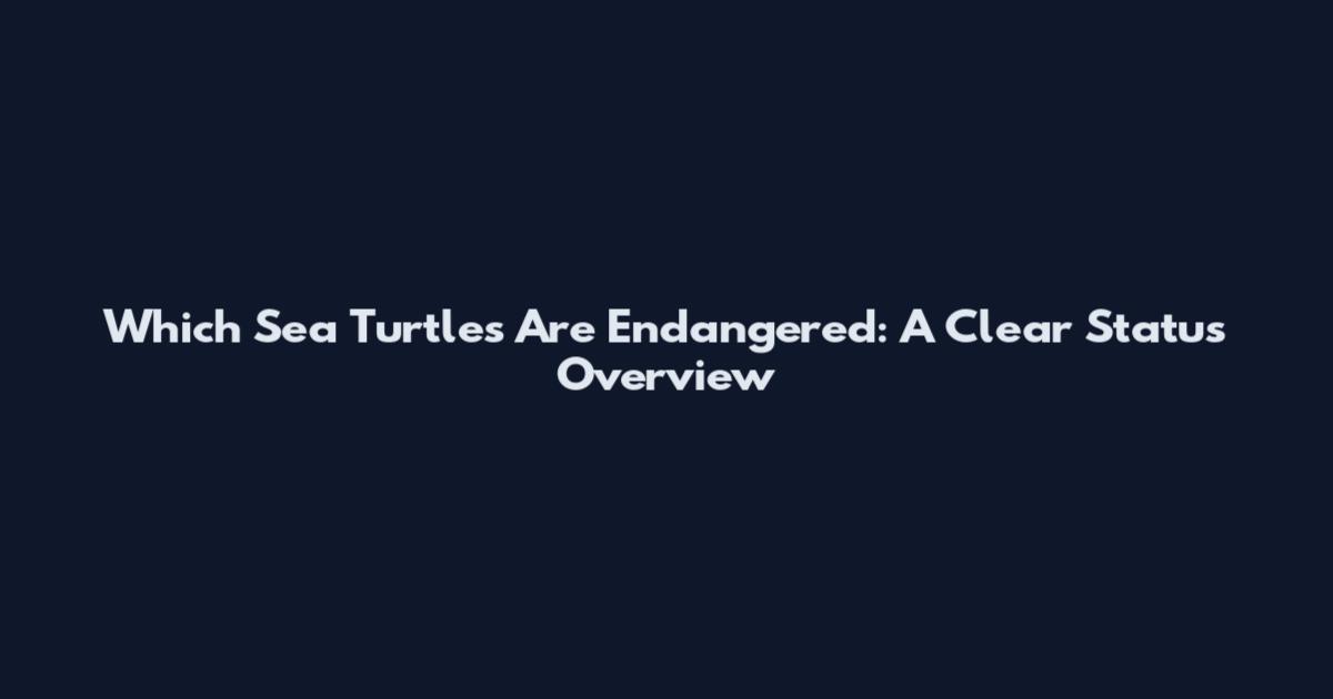 Which Sea Turtles Are Endangered: A Clear Status Overview