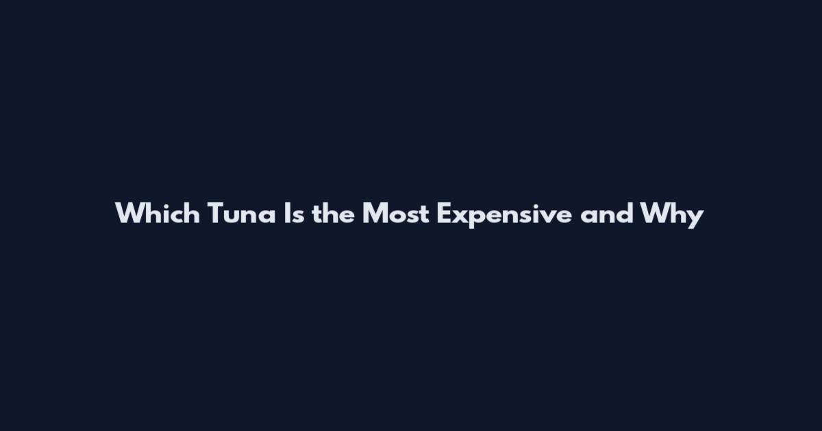 Which Tuna Is the Most Expensive and Why