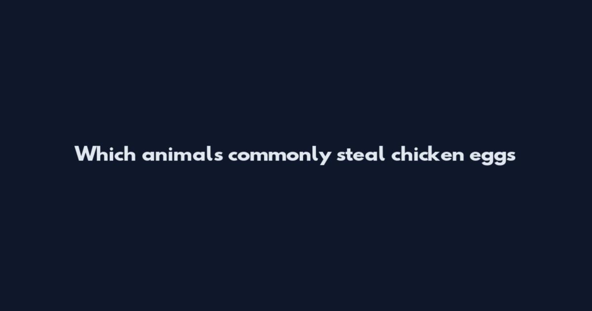Which animals commonly steal chicken eggs