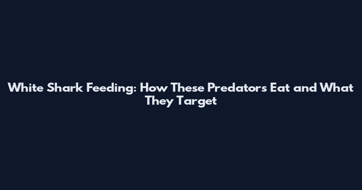 White Shark Feeding: How These Predators Eat and What They Target