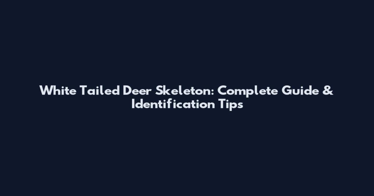 White Tailed Deer Skeleton: Complete Guide & Identification Tips