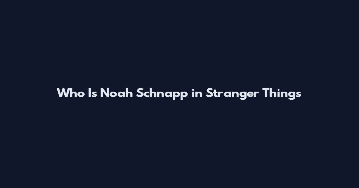 Who Is Noah Schnapp in Stranger Things
