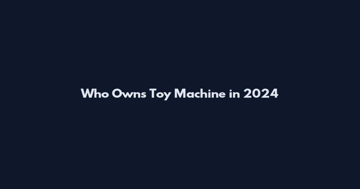 Who Owns Toy Machine in 2024