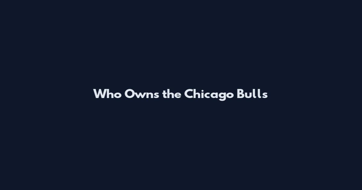 Who Owns the Chicago Bulls