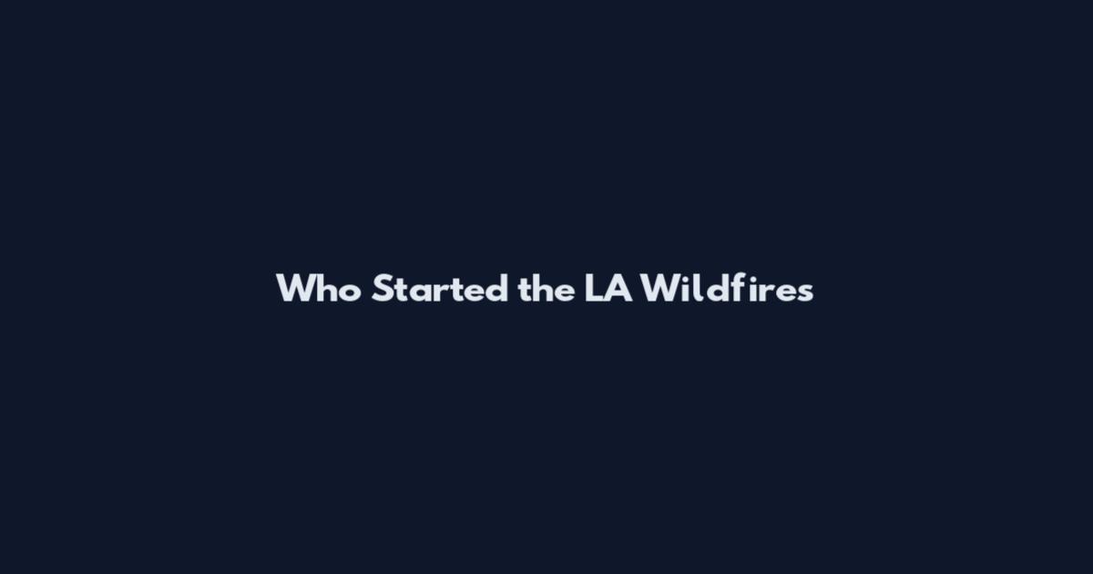 Who Started the LA Wildfires