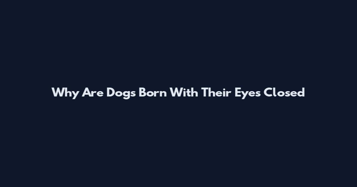 Why Are Dogs Born With Their Eyes Closed