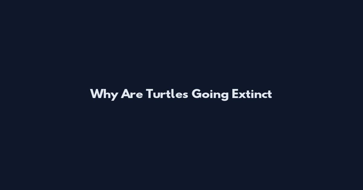 Why Are Turtles Going Extinct