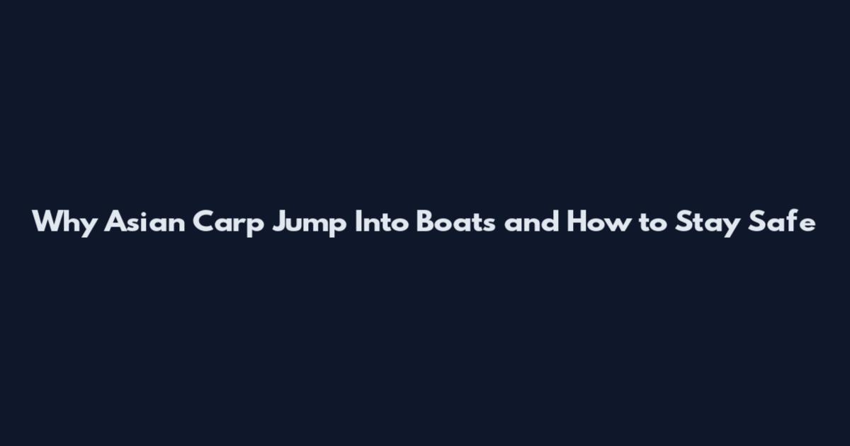Why Asian Carp Jump Into Boats and How to Stay Safe