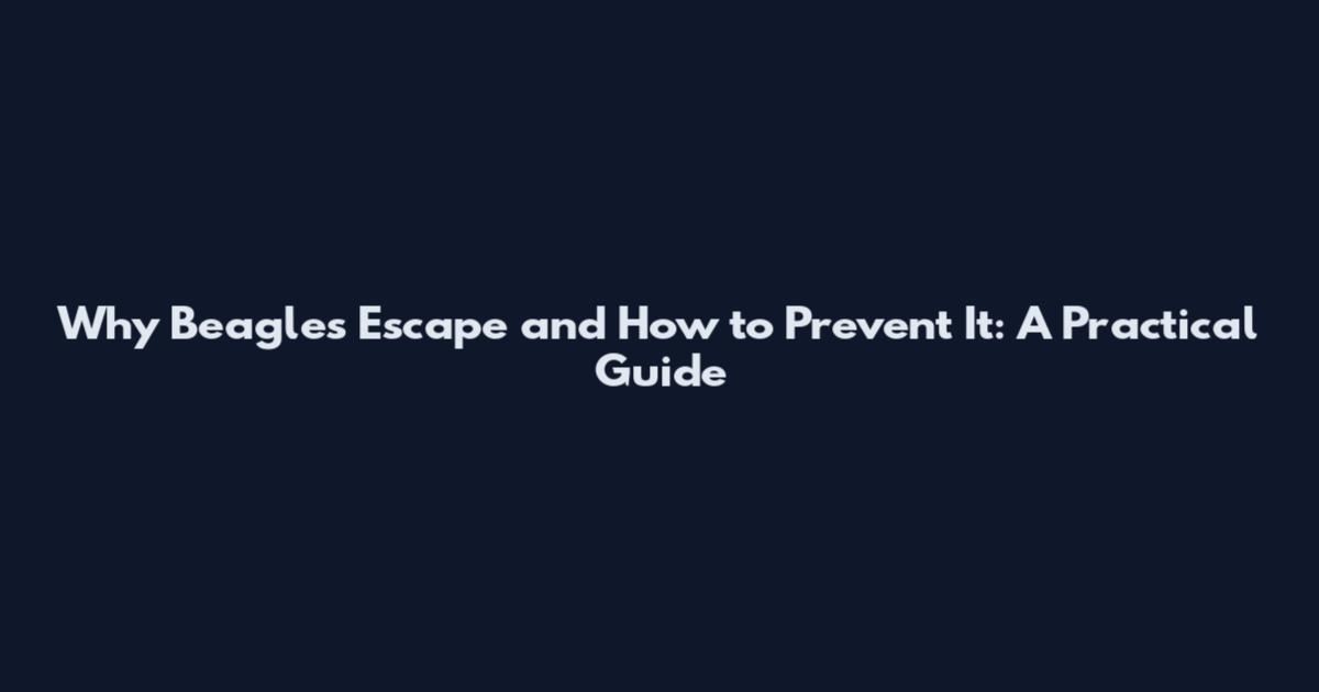Why Beagles Escape and How to Prevent It: A Practical Guide