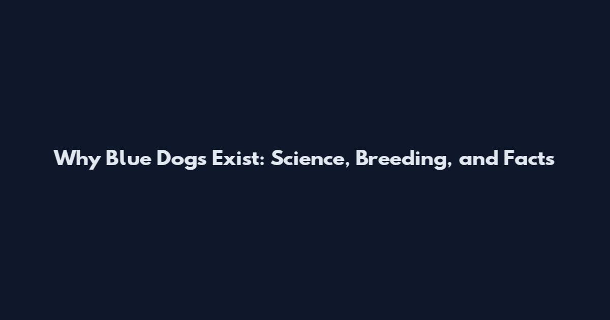 Why Blue Dogs Exist: Science, Breeding, and Facts