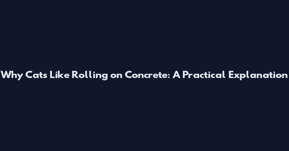 Why Cats Like Rolling on Concrete: A Practical Explanation