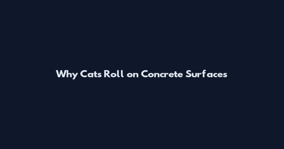 Why Cats Roll on Concrete Surfaces
