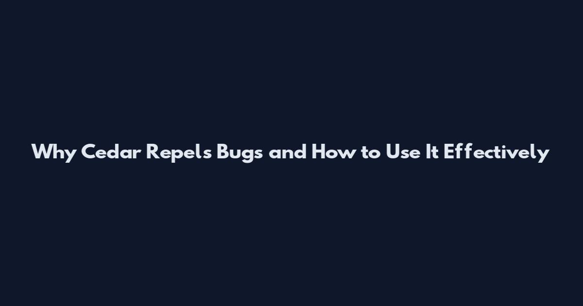 Why Cedar Repels Bugs and How to Use It Effectively