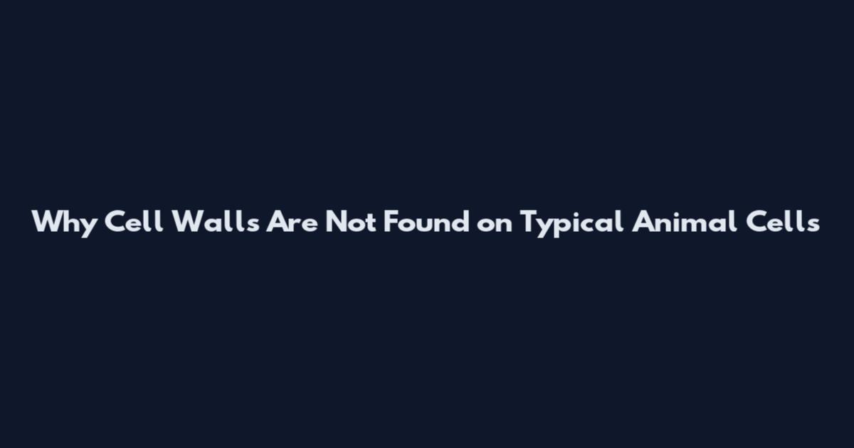 Why Cell Walls Are Not Found on Typical Animal Cells