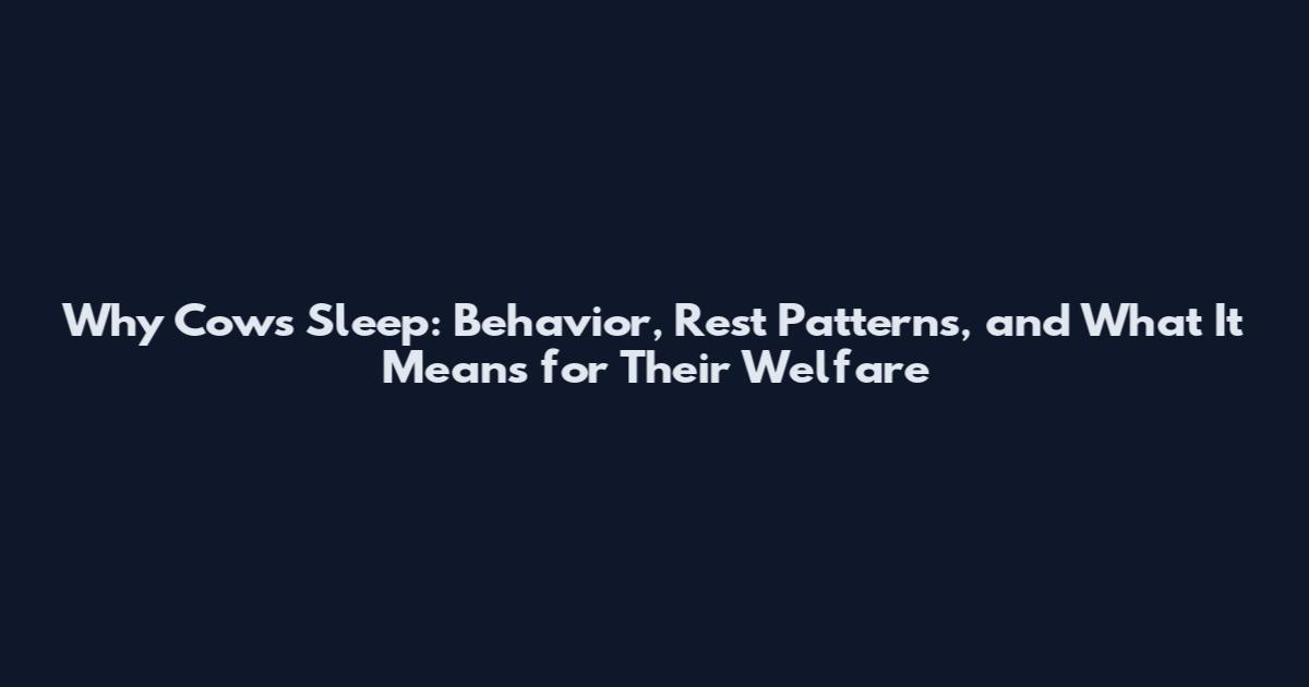 Why Cows Sleep: Behavior, Rest Patterns, and What It Means for Their Welfare