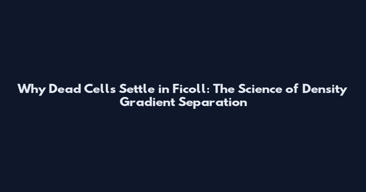 Why Dead Cells Settle in Ficoll: The Science of Density Gradient Separation