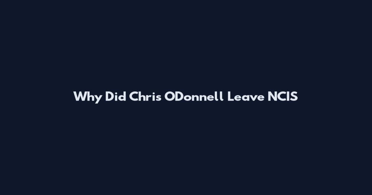 Why Did Chris O'Donnell Leave NCIS