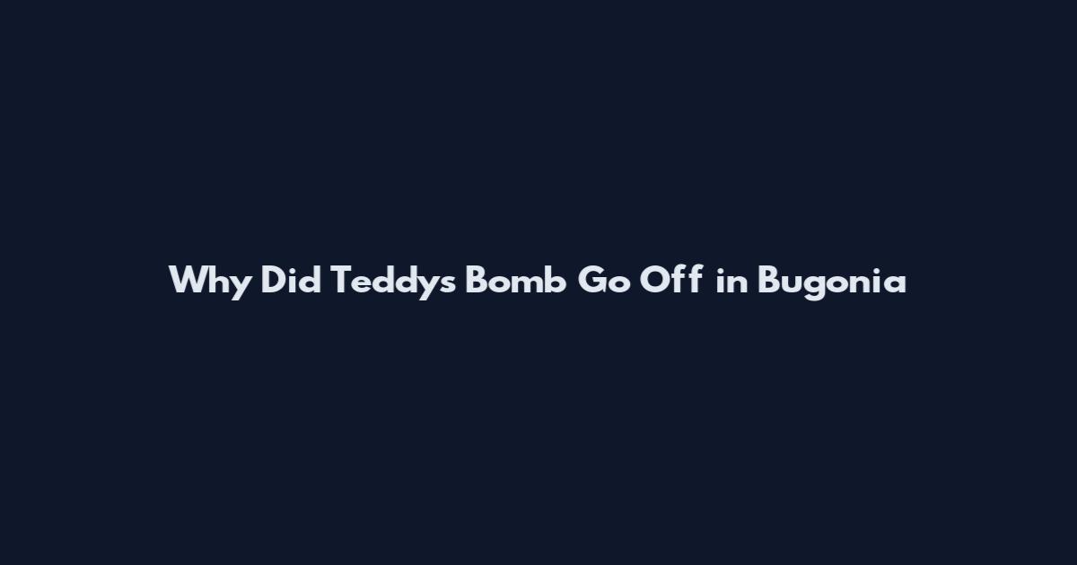 Why Did Teddy's Bomb Go Off in Bugonia