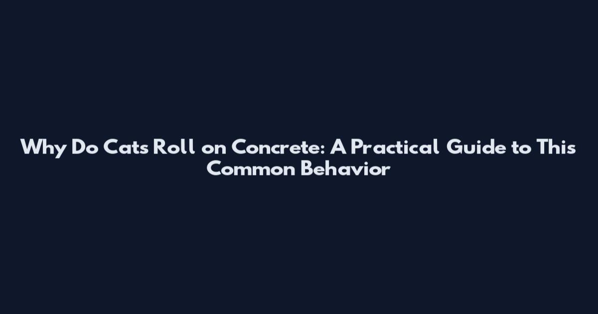Why Do Cats Roll on Concrete: A Practical Guide to This Common Behavior
