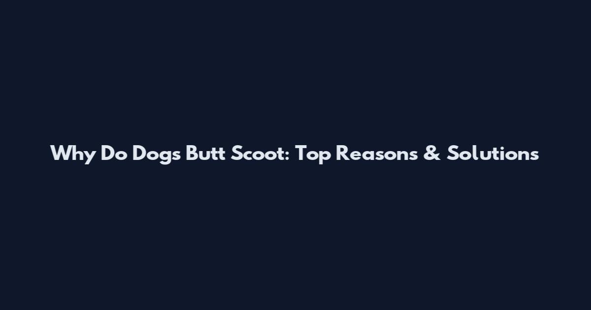 Why Do Dogs Butt Scoot: Top Reasons & Solutions