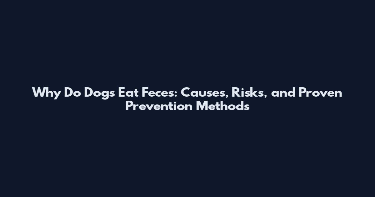 Why Do Dogs Eat Feces: Causes, Risks, and Proven Prevention Methods