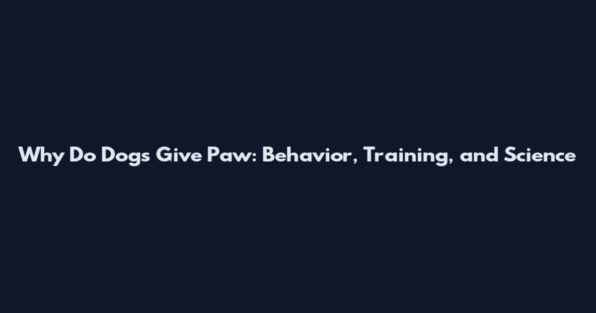 Why Do Dogs Give Paw: Behavior, Training, and Science