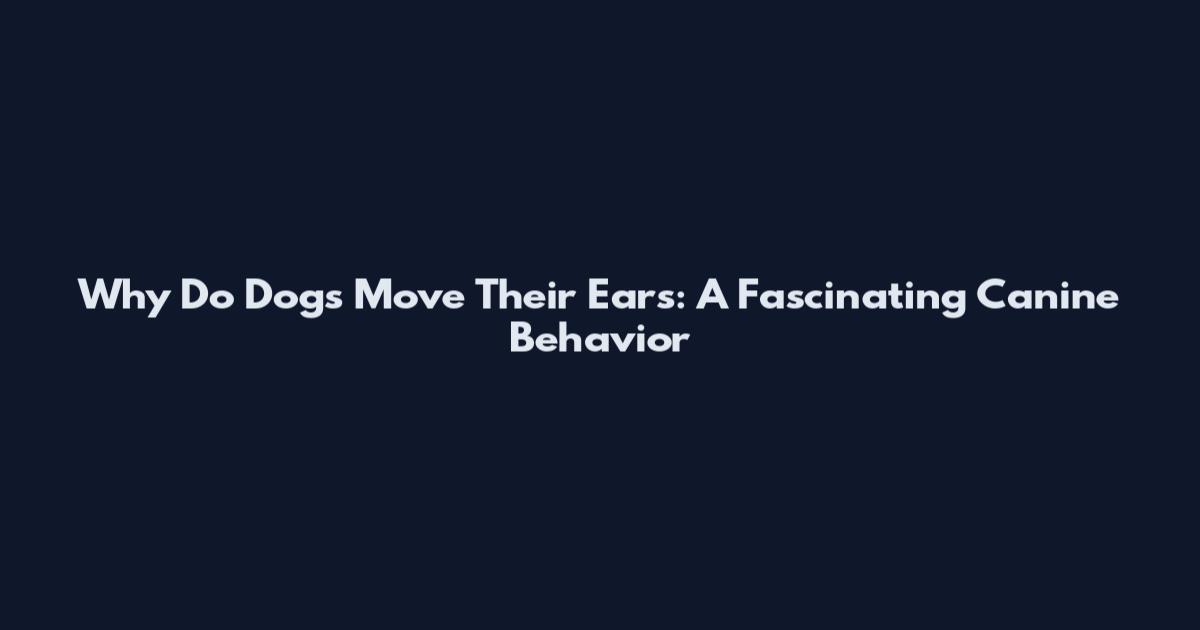 Why Do Dogs Move Their Ears: A Fascinating Canine Behavior