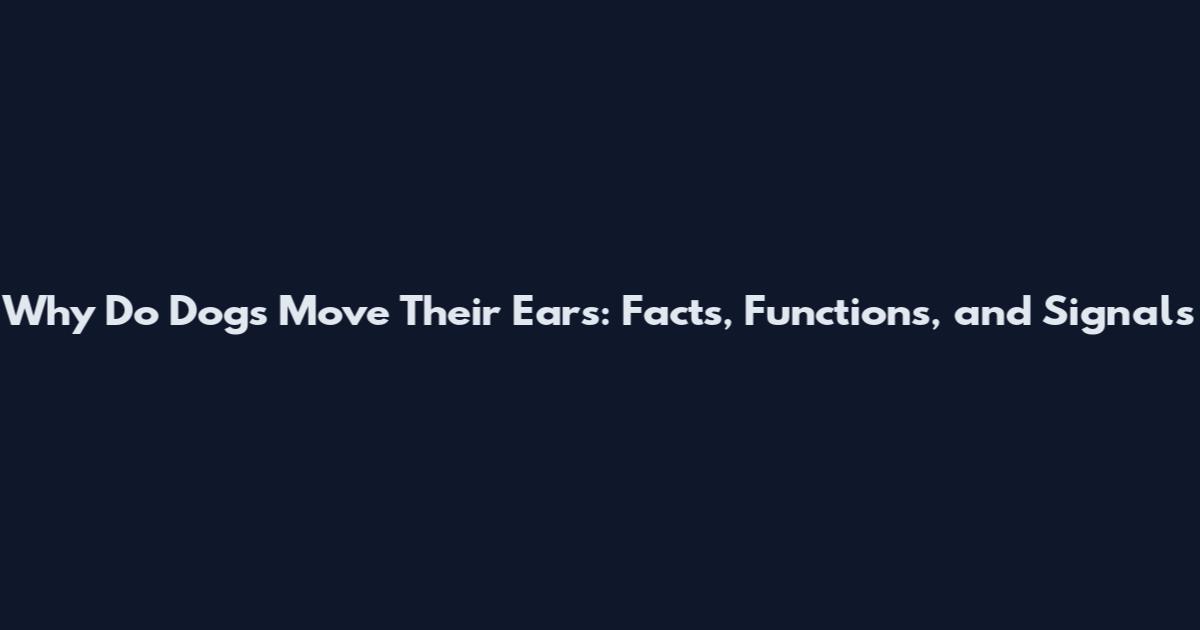 Why Do Dogs Move Their Ears: Facts, Functions, and Signals