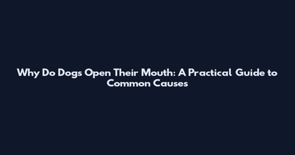 Why Do Dogs Open Their Mouth: A Practical Guide to Common Causes