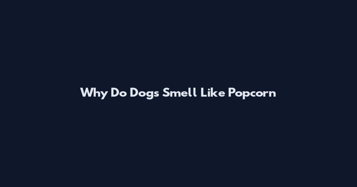 Why Do Dogs Smell Like Popcorn