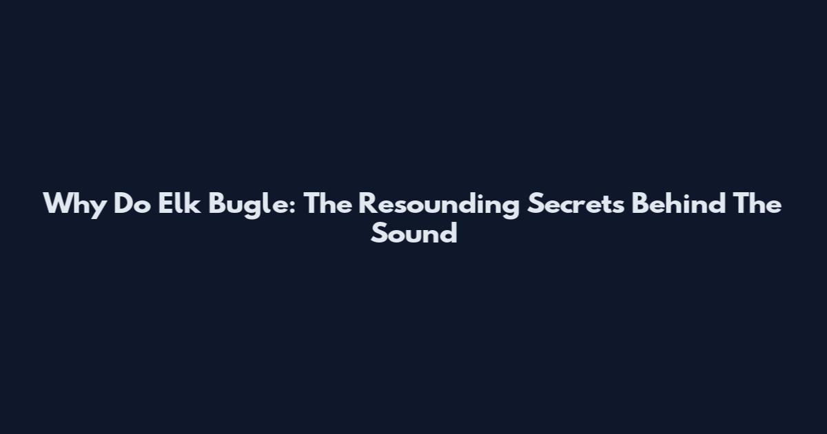 Why Do Elk Bugle: The Resounding Secrets Behind The Sound