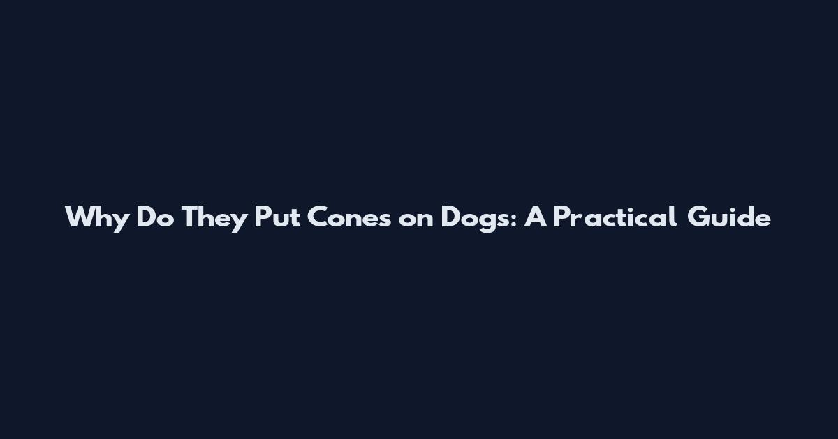 Why Do They Put Cones on Dogs: A Practical Guide