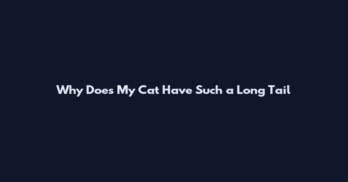 Why Does My Cat Have Such a Long Tail