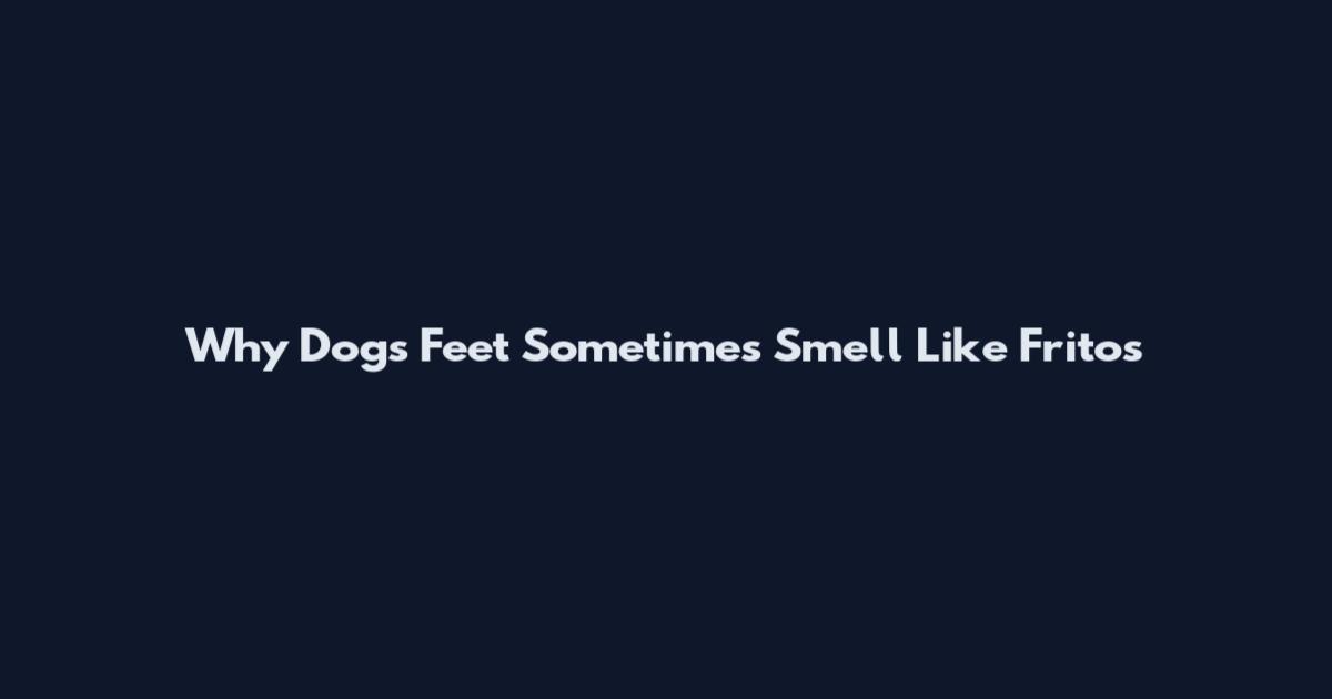 Why Dogs' Feet Sometimes Smell Like Fritos