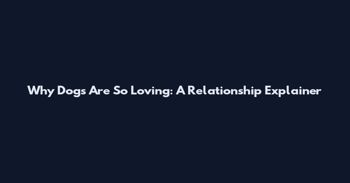 Why Dogs Are So Loving: A Relationship Explainer