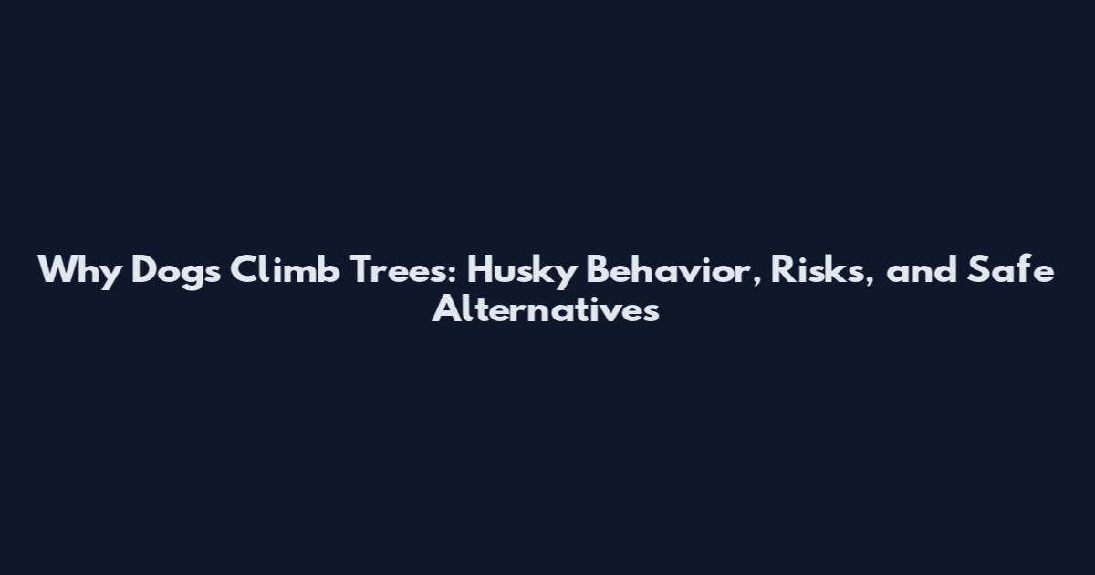 Why Dogs Climb Trees: Husky Behavior, Risks, and Safe Alternatives