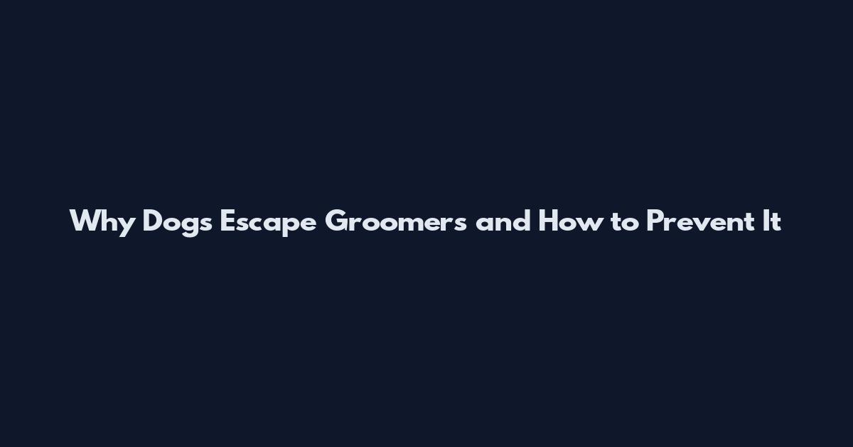 Why Dogs Escape Groomers and How to Prevent It