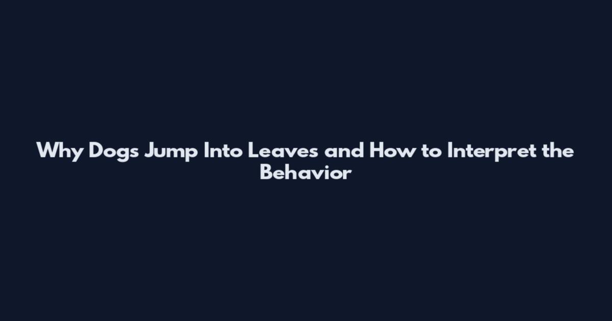 Why Dogs Jump Into Leaves and How to Interpret the Behavior