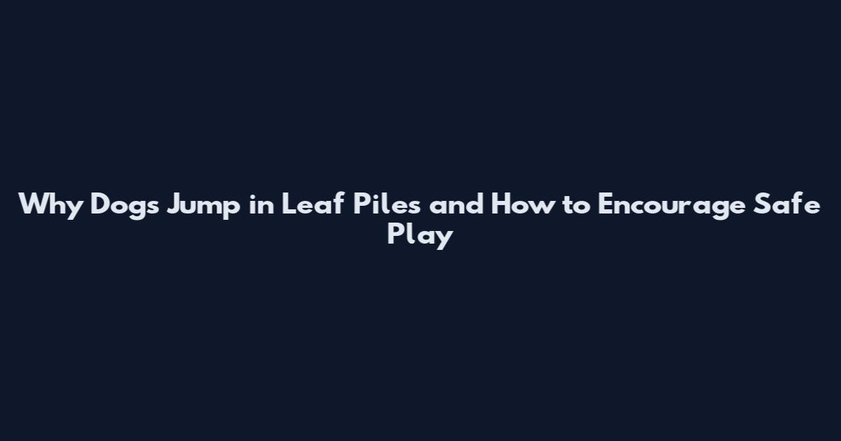 Why Dogs Jump in Leaf Piles and How to Encourage Safe Play