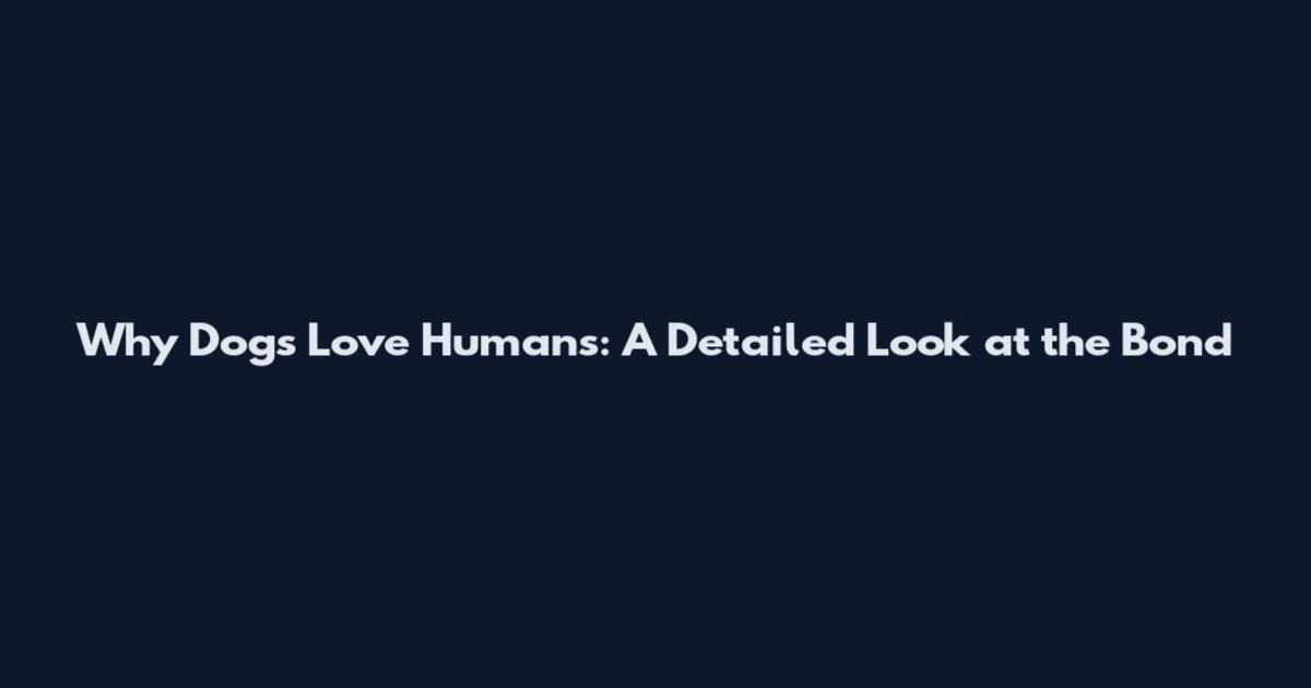 Why Dogs Love Humans: A Detailed Look at the Bond
