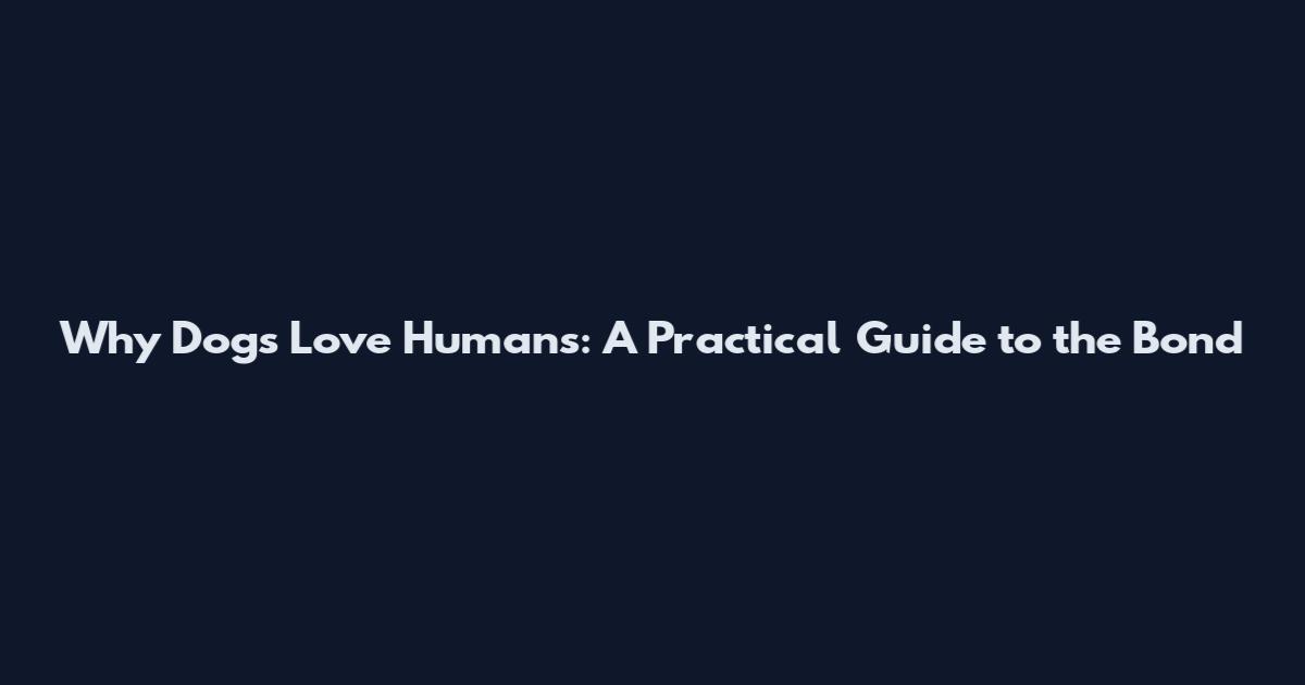 Why Dogs Love Humans: A Practical Guide to the Bond